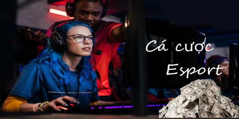 Cá cược Esport là lựa chọn của đam mê kiếm tiền từ Thể Thao Điện Tử