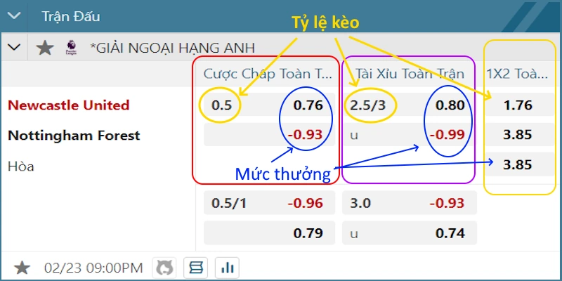 Ví dụ cách xem kèo bóng đá