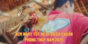 Xem Ngày Tốt Để Đi Đá Gà Chuẩn Phong Thủy Năm 2025